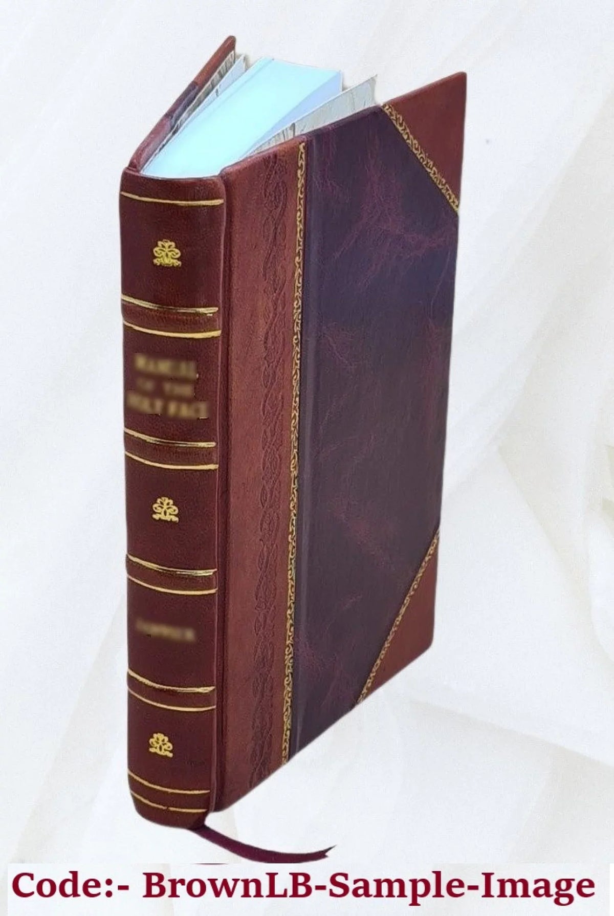 Great cities of Europe. First [-second] series. By Esther Singleton ... Volume v. 1 1913 [Leather Bound]