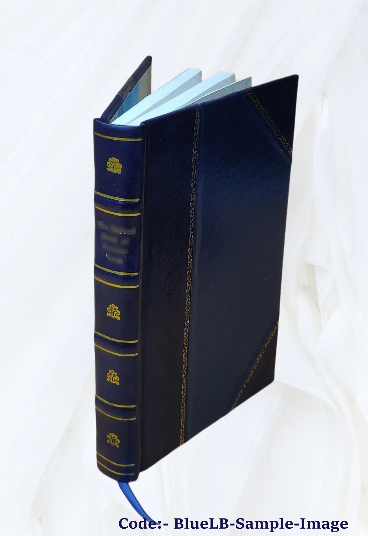 Jan of the windmill : a story of the plains / by Juliana Horatia Ewing. 1899 [Leather Bound]