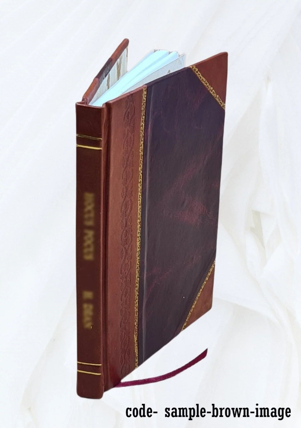 The Fairbanks family 1892 [Leather Bound]