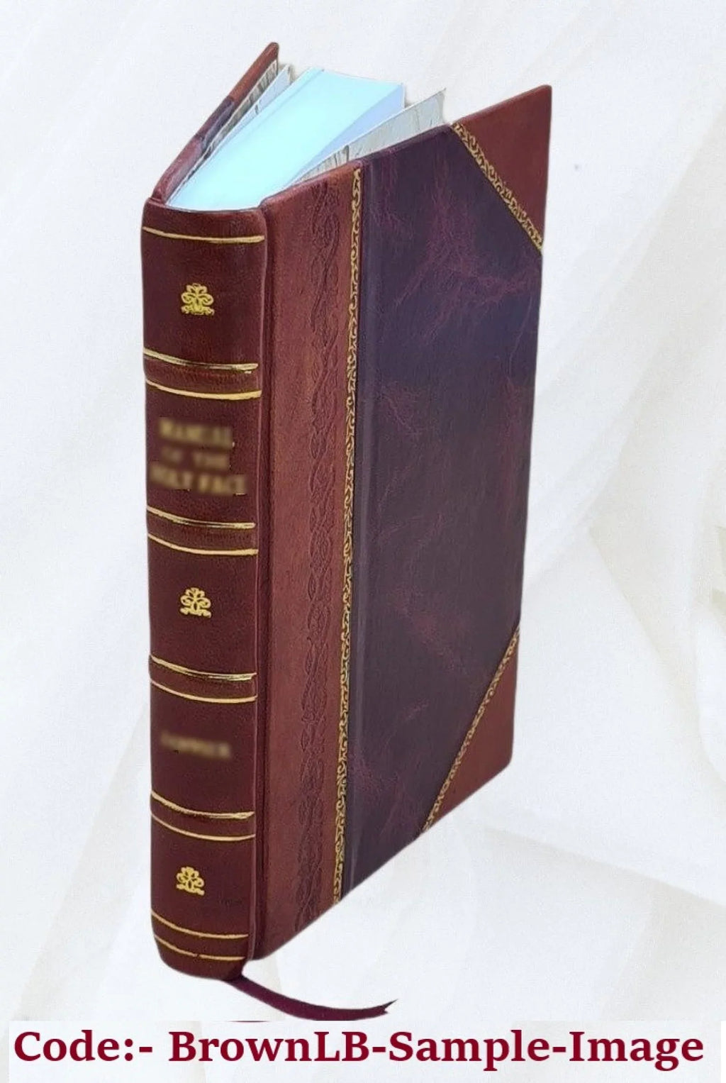 Le nouveau Robinson : pour servir à l'amusement et à l'instruction des enfans de l'un et de l'autre sexe / ouvrage traduit de l'allemand de . Campe. v.2. Volume v.2 1833 [Leather