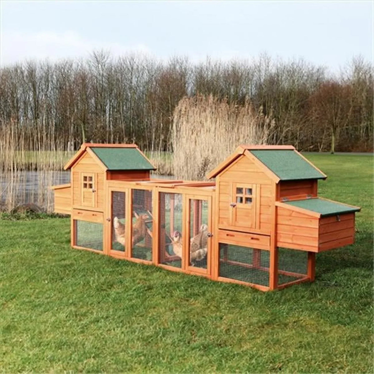 Chicken Coop Duplex With Outdoor Run