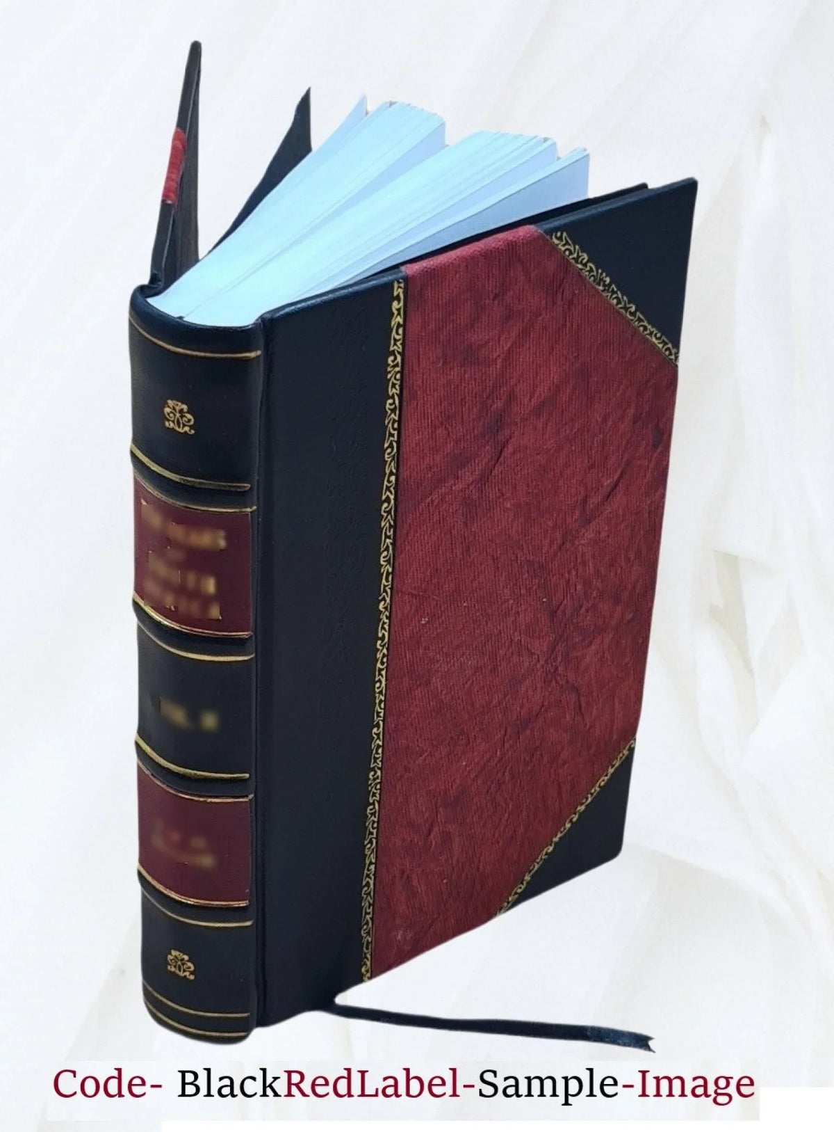 Landoy-Bukh 1926 [Leather Bound]